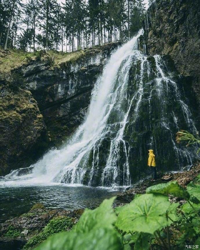 逃出猫头鹰岛