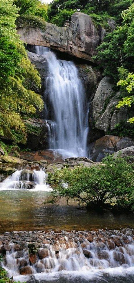 一顿浪漫晚餐